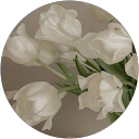 Rejana Z. profile picture